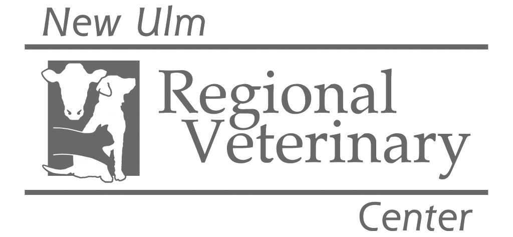 Success Stories: New Ulm Regional Veterinary Center - Nuvera Business